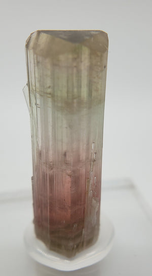 Bi-Colored Tourmaline,  California