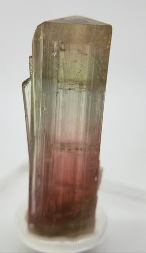 Bi-Colored Tourmaline,  California