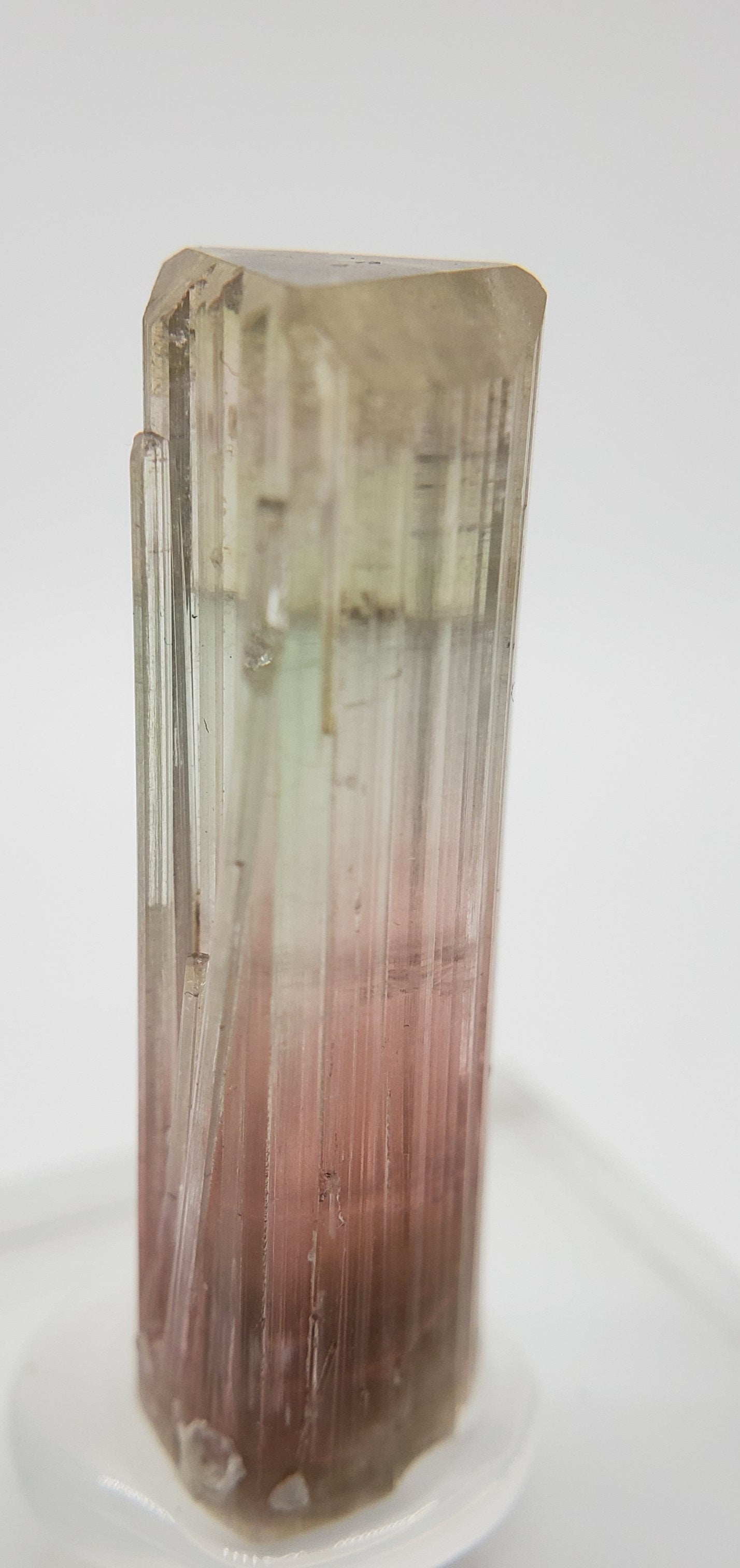 Bi-Colored Tourmaline,  California