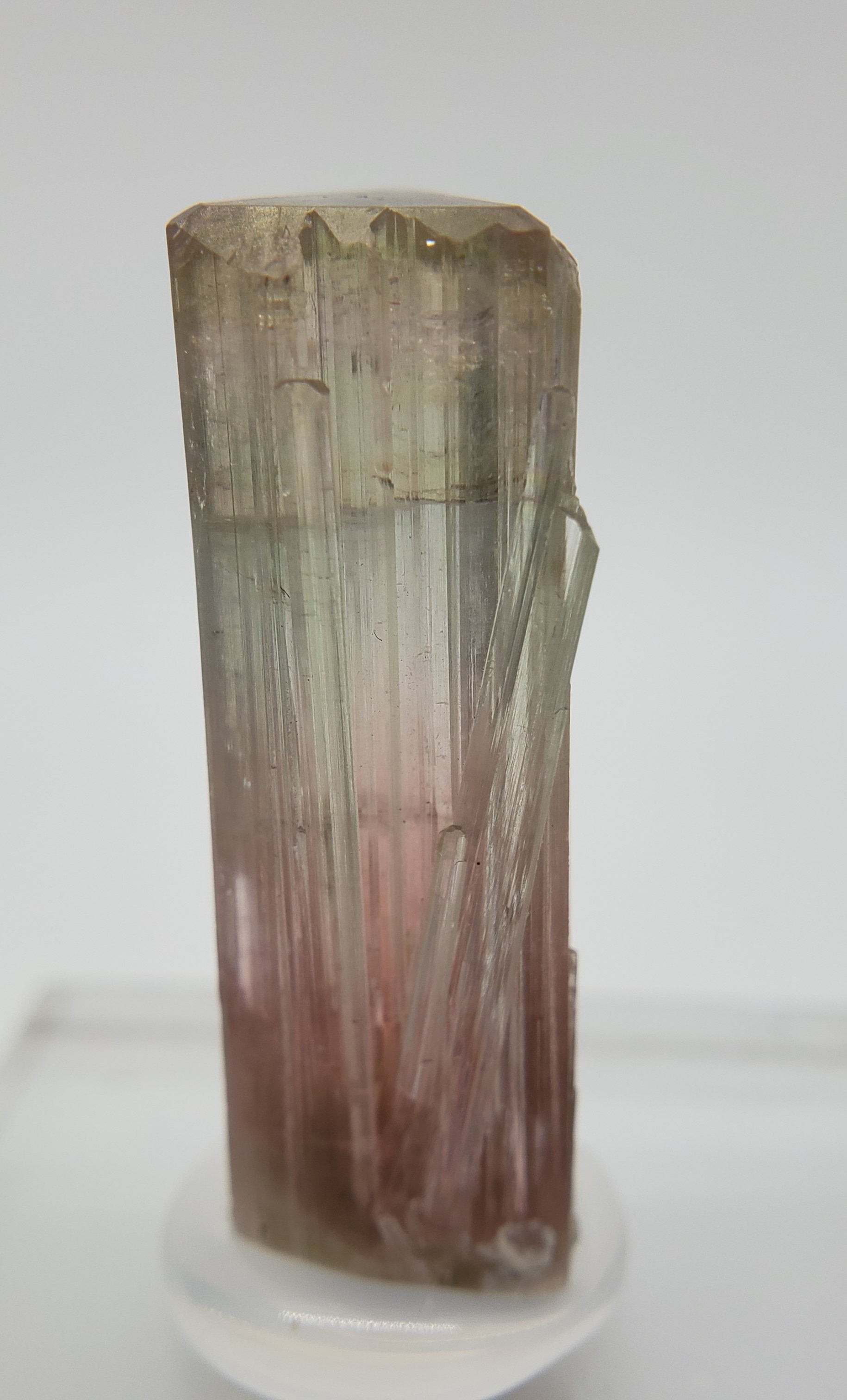 Bi-Colored Tourmaline,  California