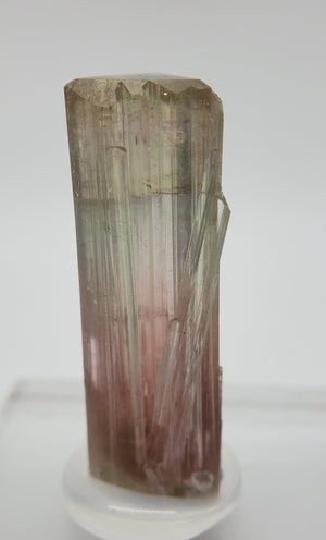 Bi-Colored Tourmaline,  California