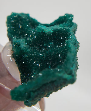 Dioptase, Congo