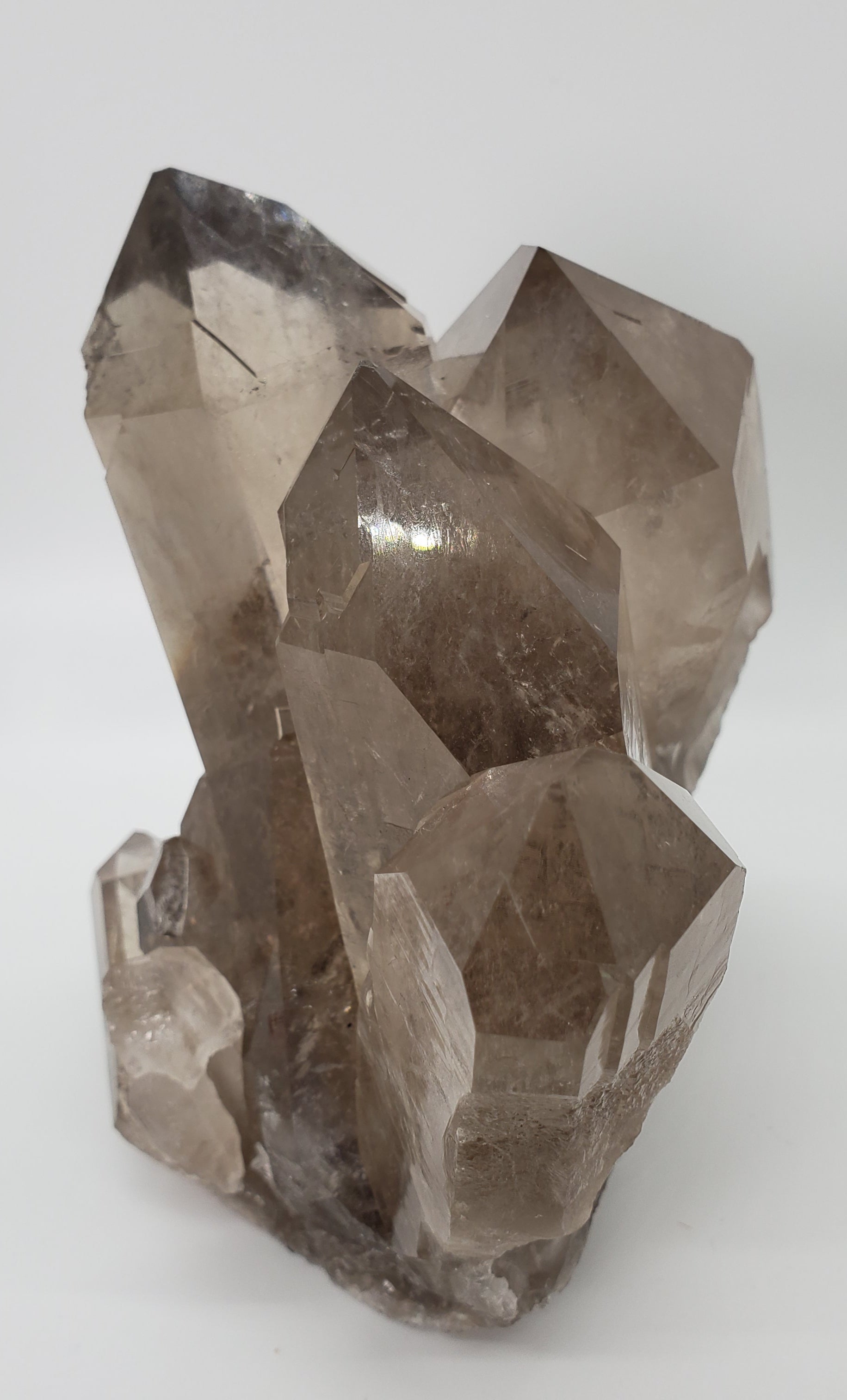 Smoky Quartz Cluster, Brasil
