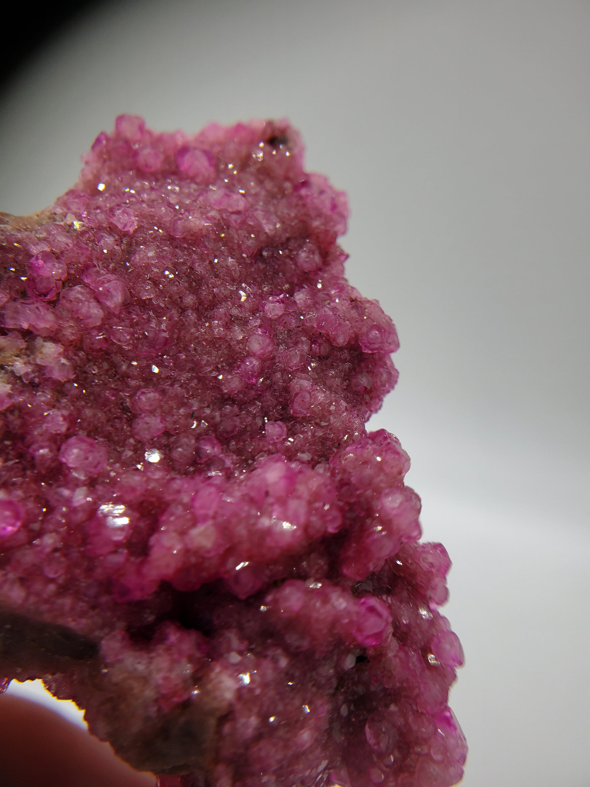 Cobaltoan Calcite