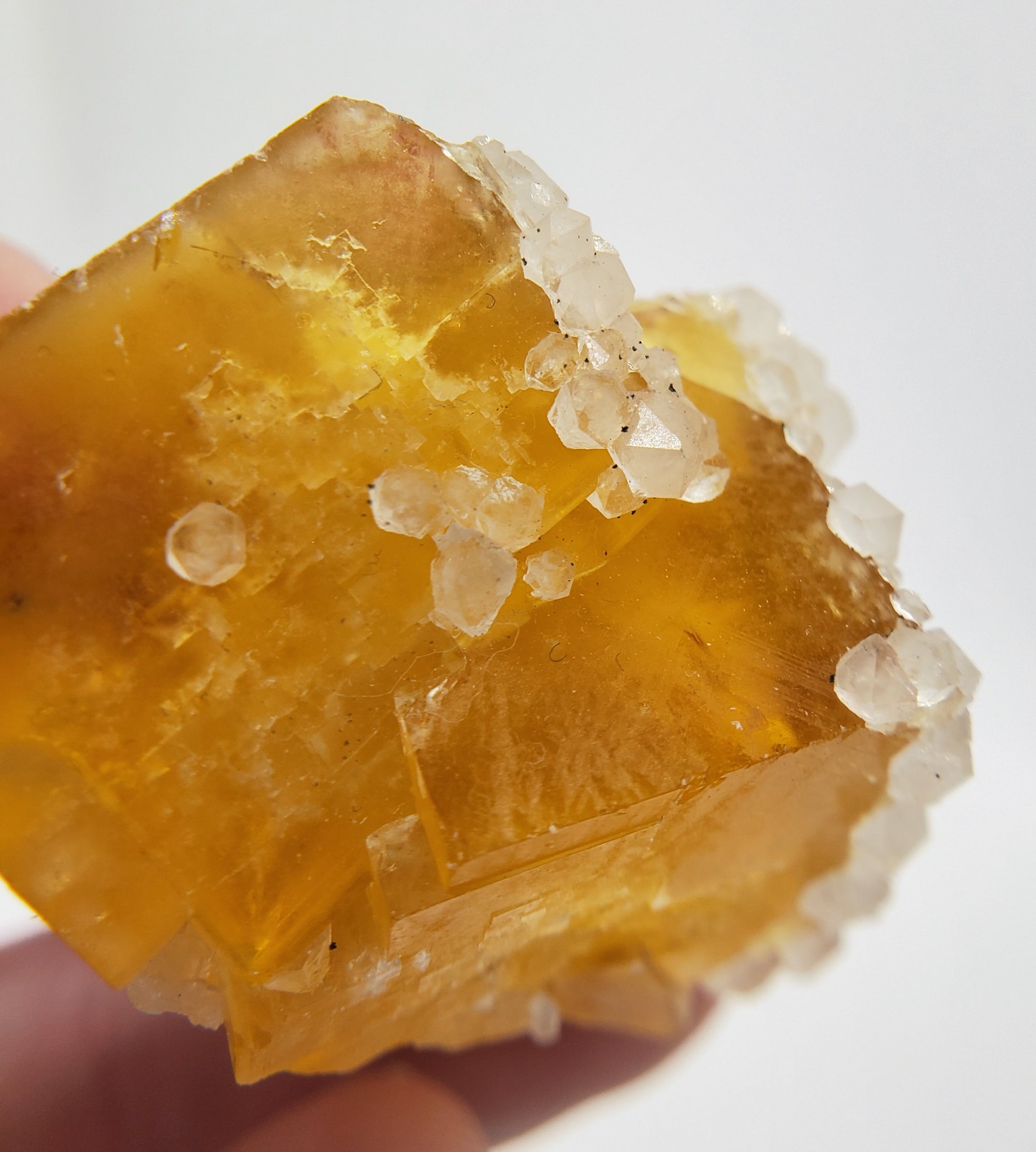 Fluorite on Quartz, Morocco