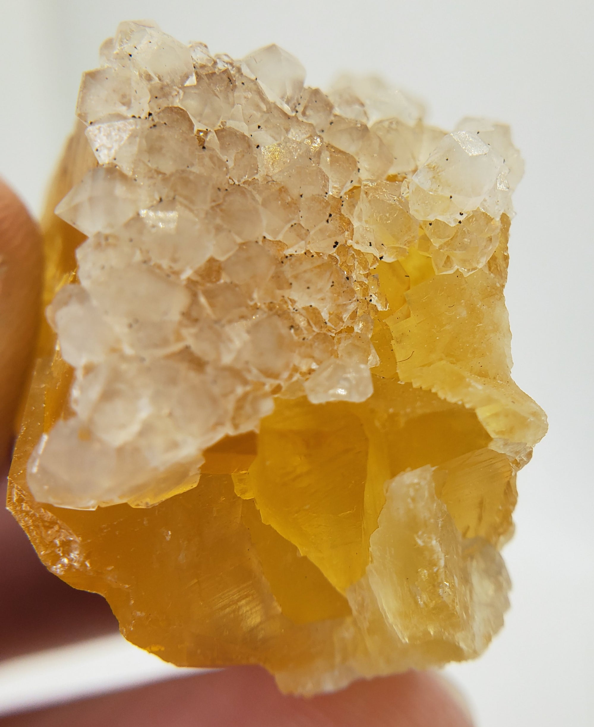 Fluorite on Quartz, Morocco