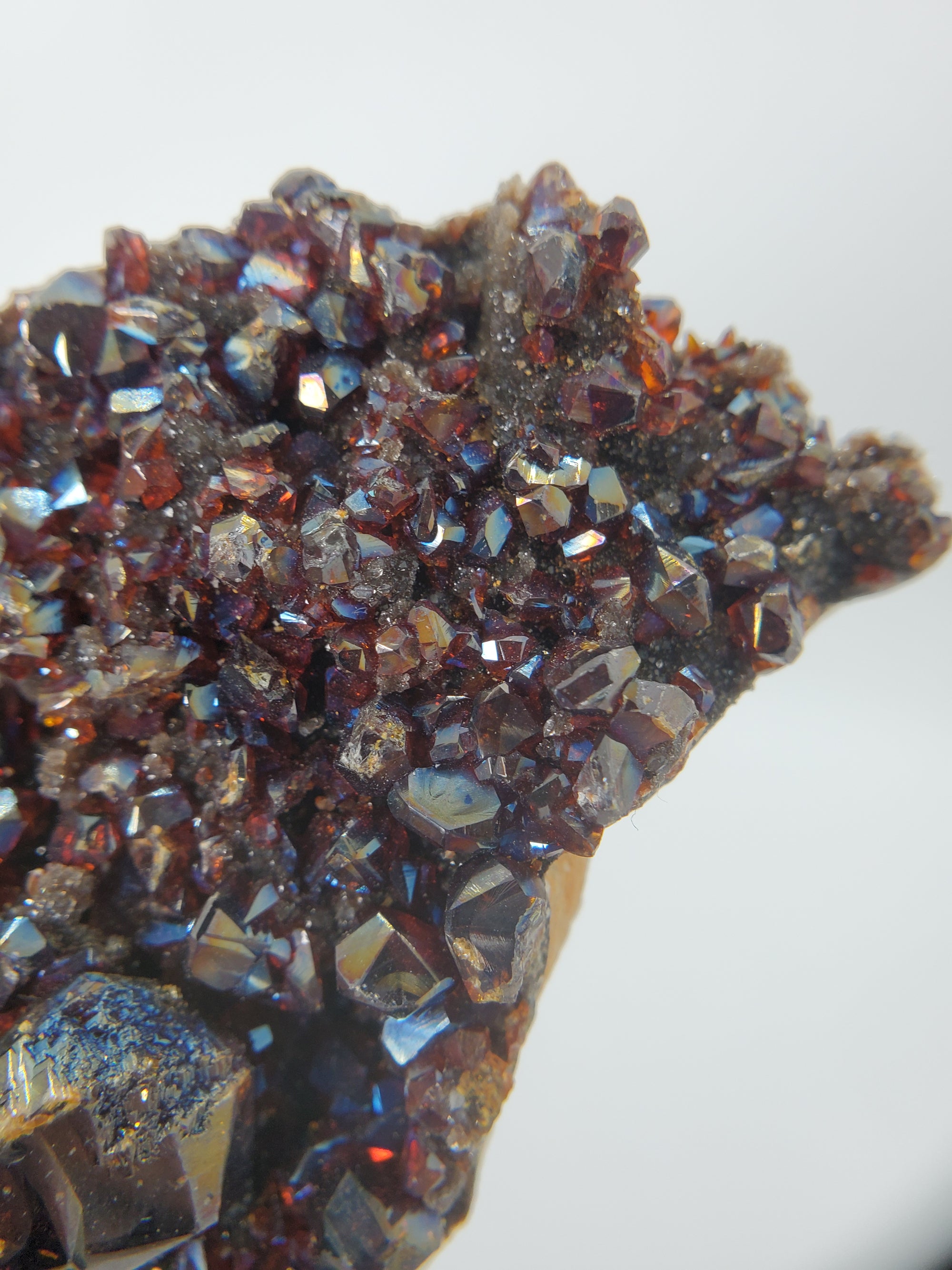 Ruby Jack Sphalerite, Pitcher Oklahoma