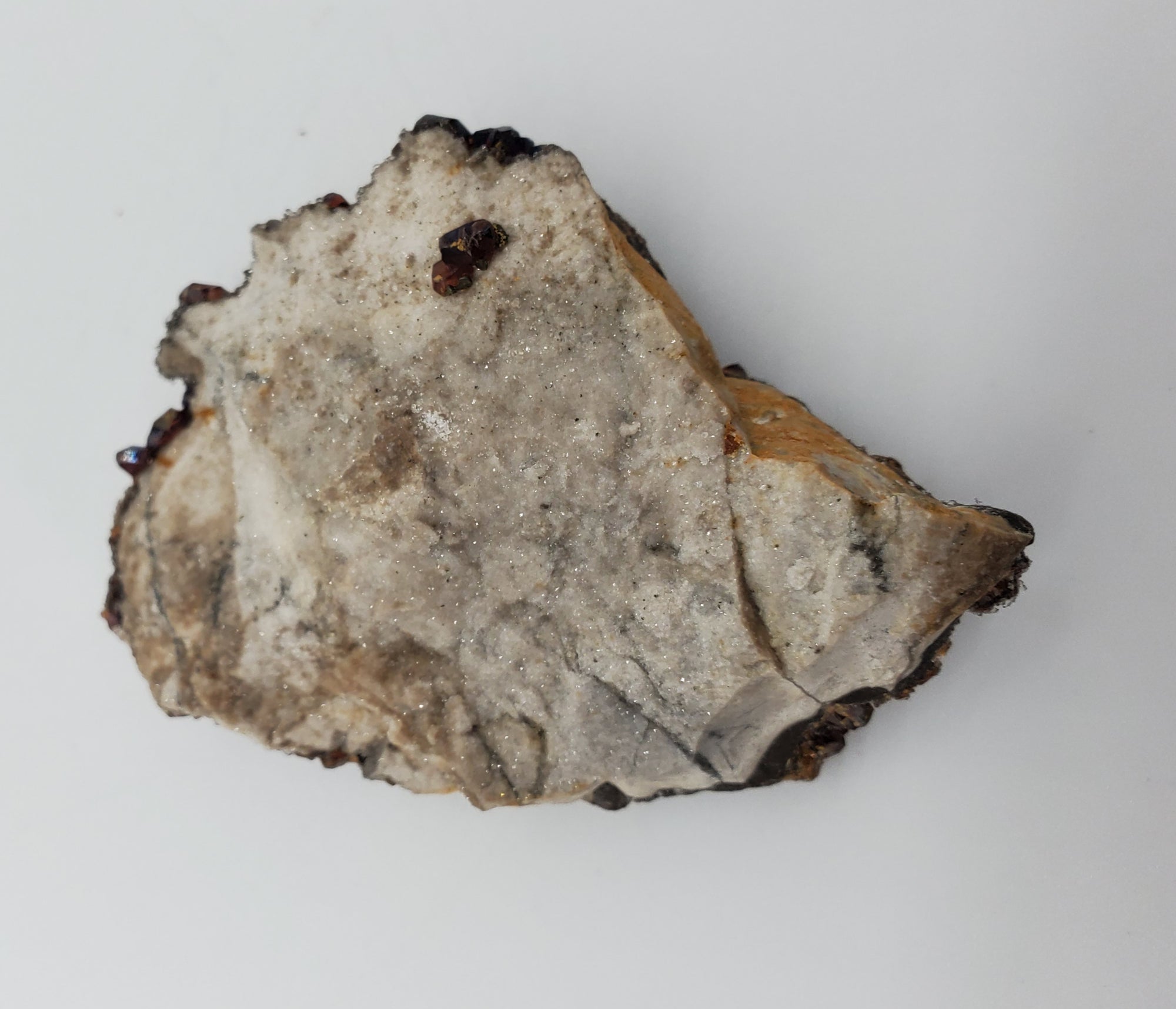 Ruby Jack Sphalerite, Pitcher Oklahoma