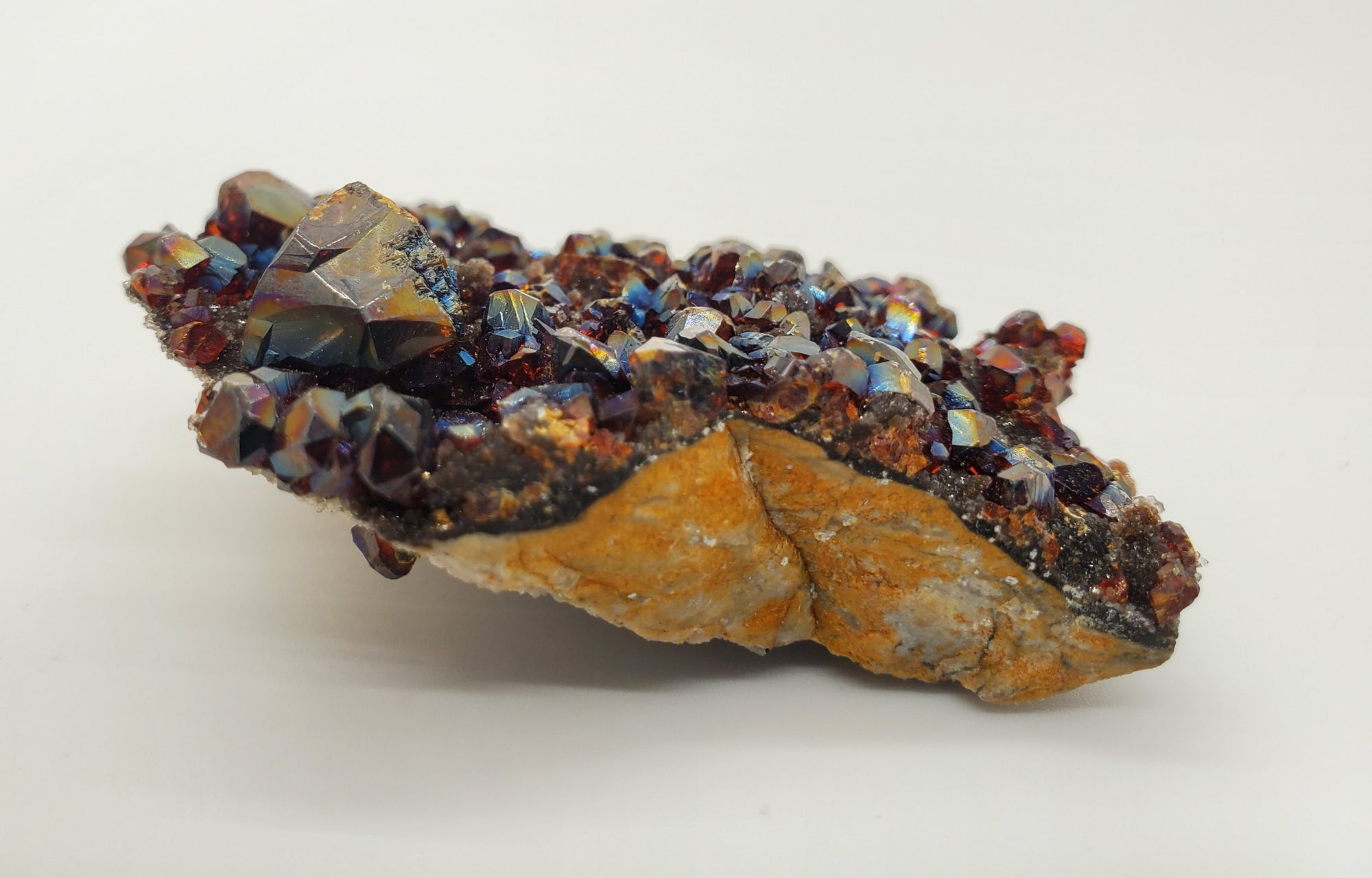 Ruby Jack Sphalerite, Pitcher Oklahoma