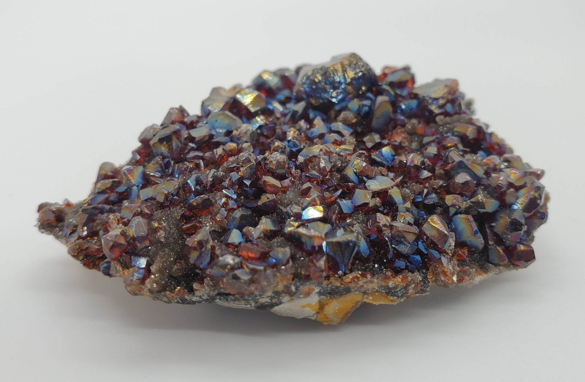 Ruby Jack Sphalerite, Pitcher Oklahoma