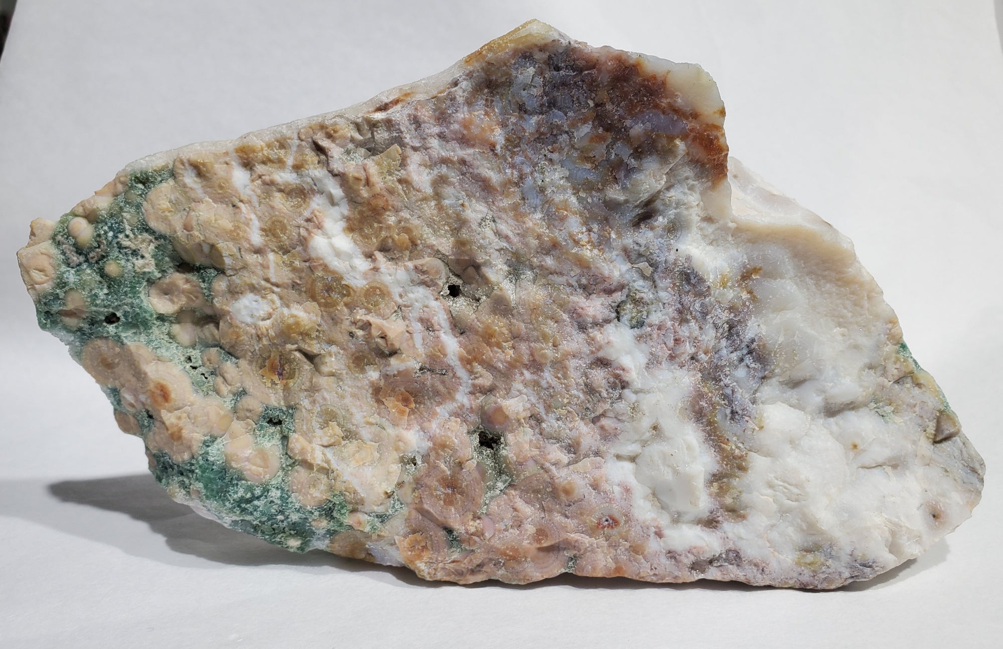 Ocean Jasper Slab