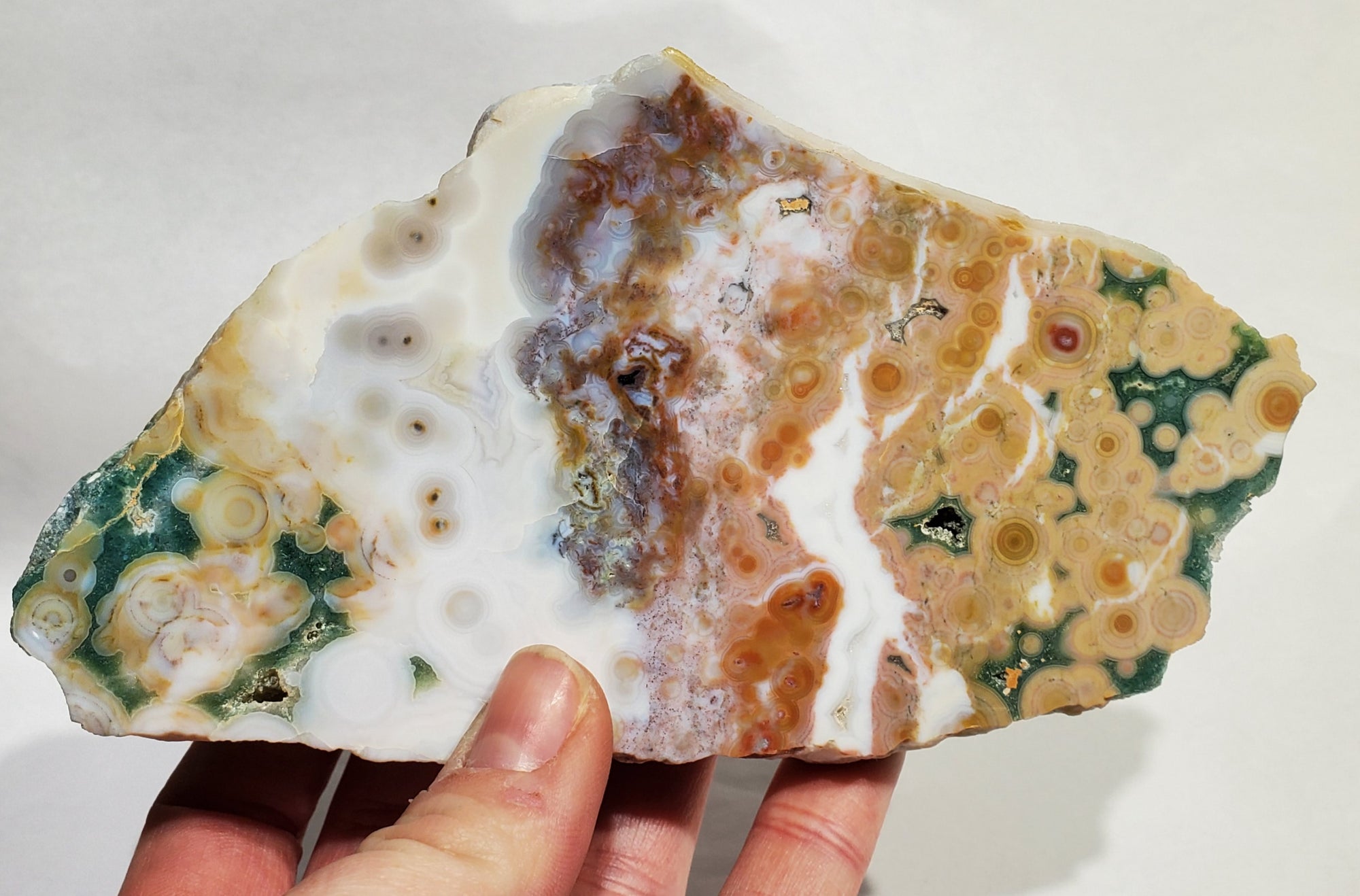 Ocean Jasper Slab