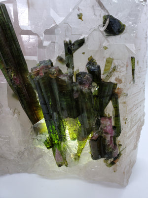 Bi-Color Tourmaline in Quartz