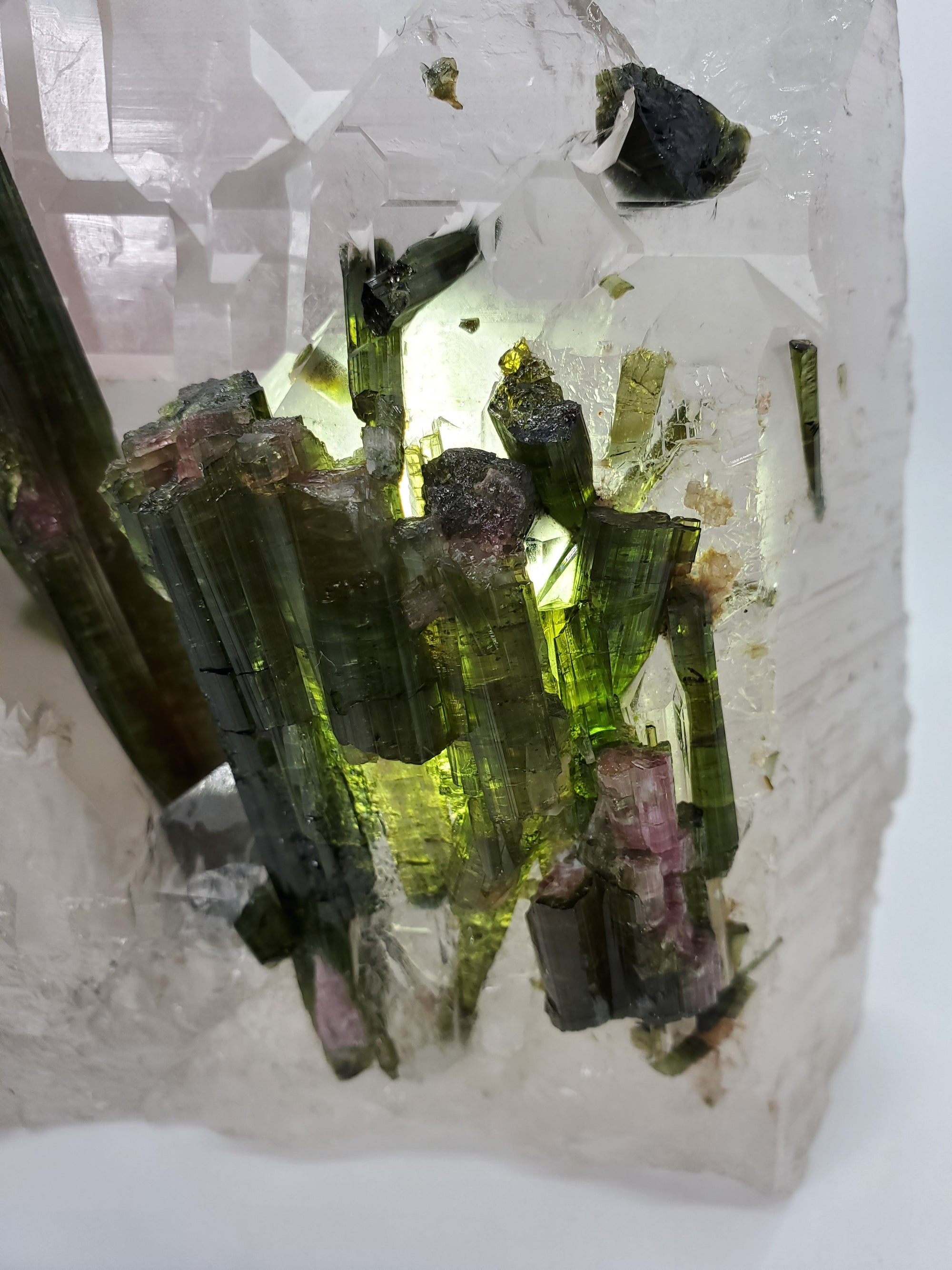 Bi-Color Tourmaline in Quartz