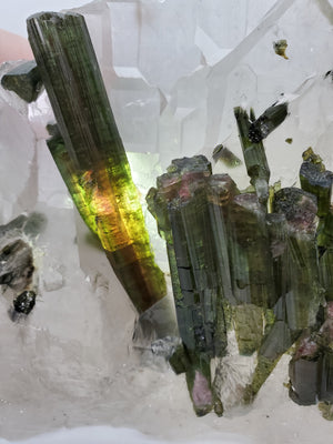 Bi-Color Tourmaline in Quartz