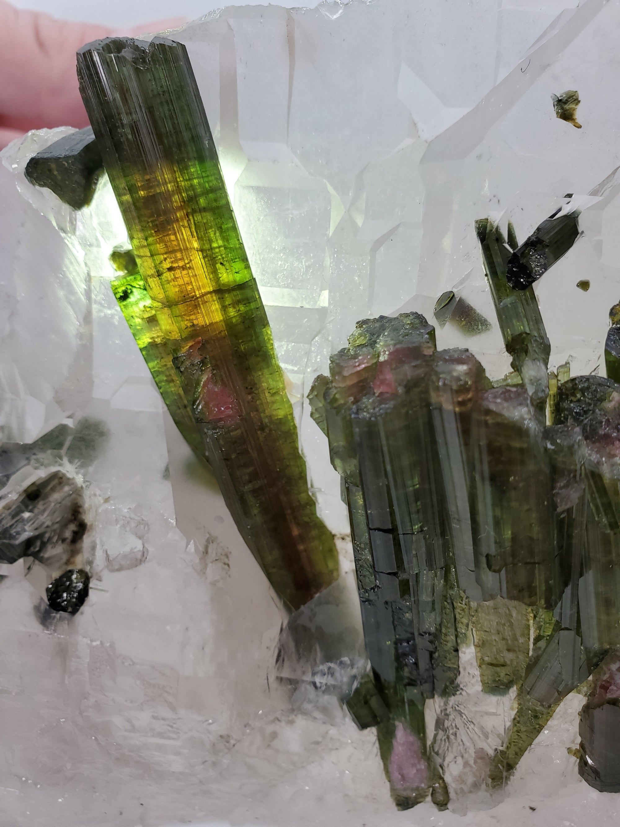 Bi-Color Tourmaline in Quartz