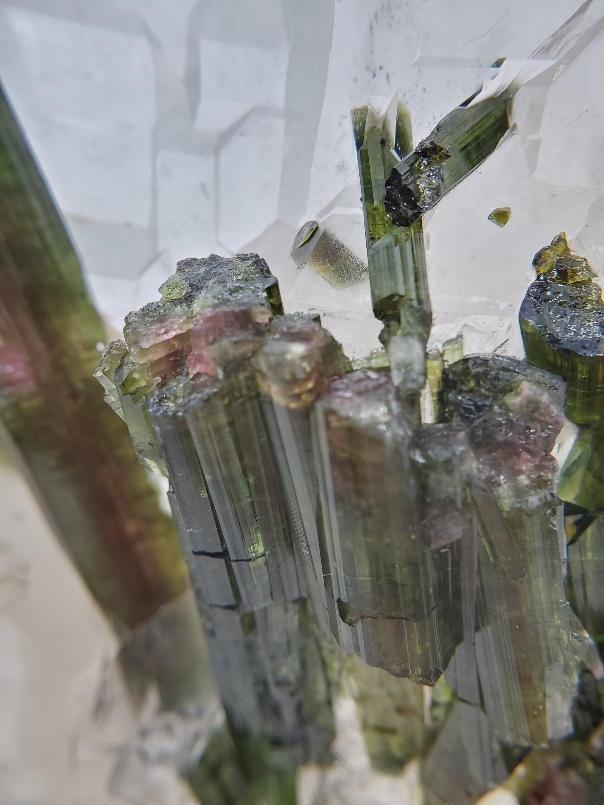 Bi-Color Tourmaline in Quartz