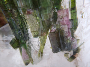 Bi-Color Tourmaline in Quartz