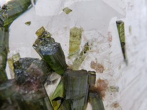 Bi-Color Tourmaline in Quartz