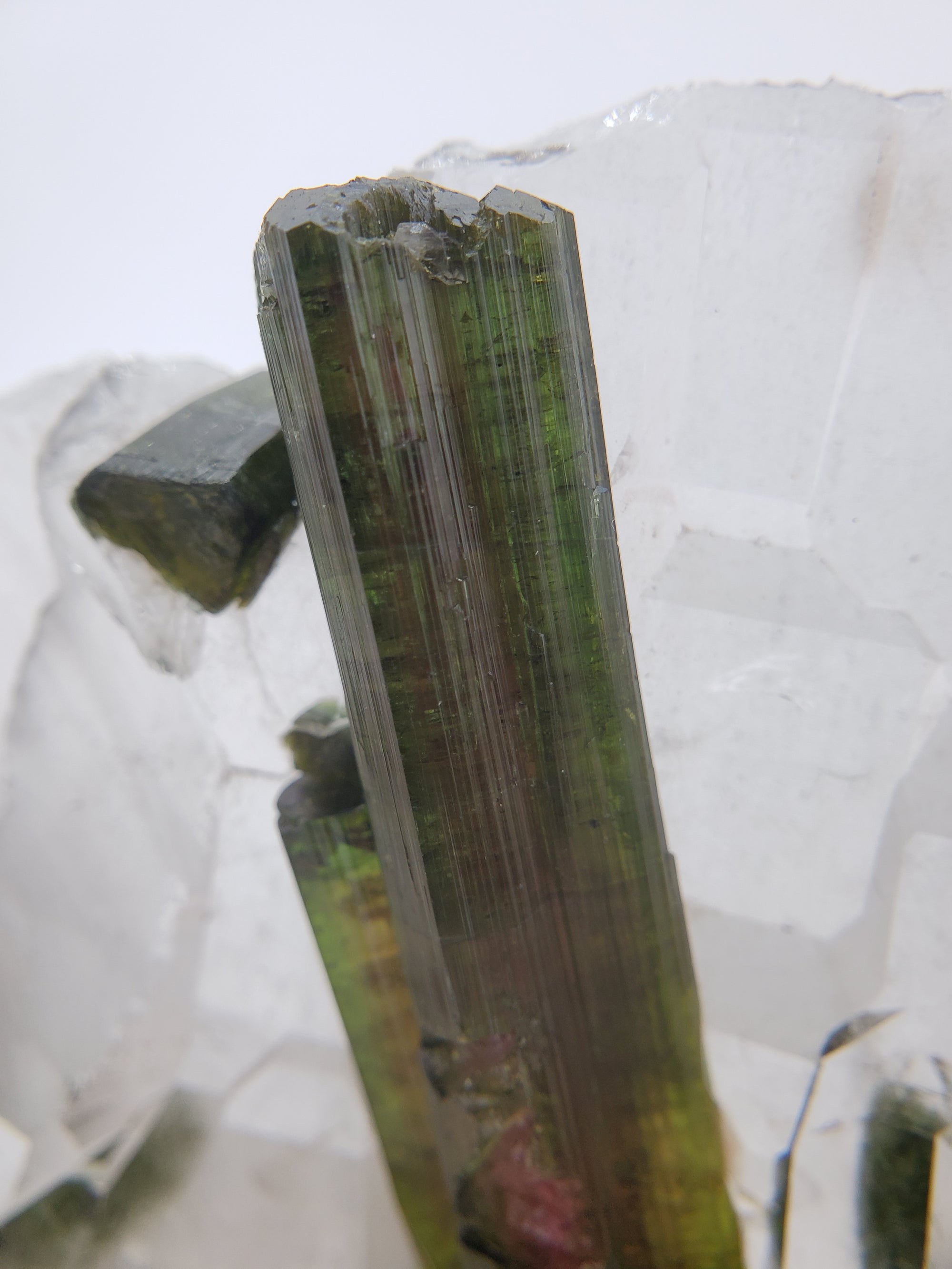 Bi-Color Tourmaline in Quartz