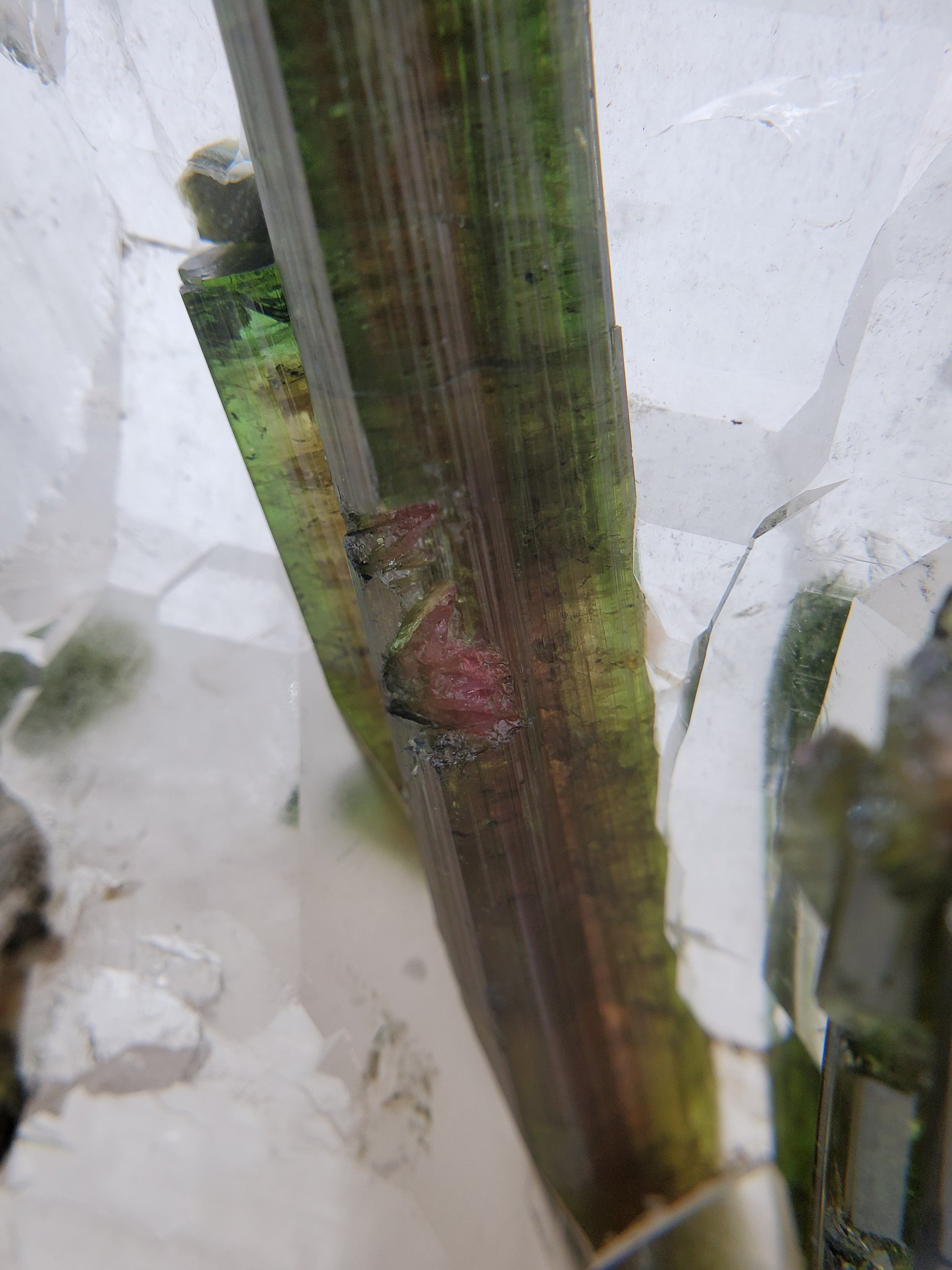 Bi-Color Tourmaline in Quartz