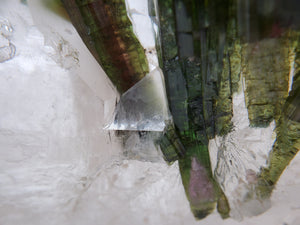 Bi-Color Tourmaline in Quartz