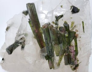 Bi-Color Tourmaline in Quartz