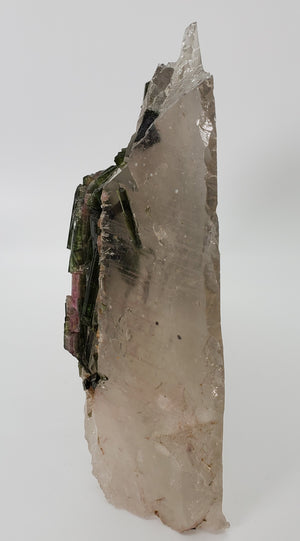 Bi-Color Tourmaline in Quartz