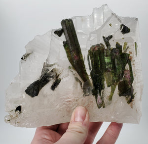 Bi-Color Tourmaline in Quartz