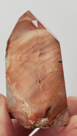 Amphibole Quartz Point