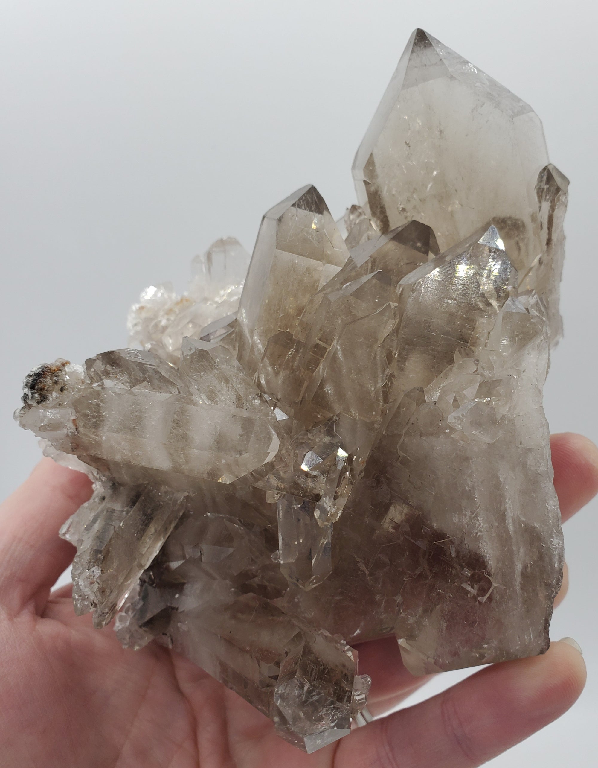 Tabby Smoky Quartz Cluster,  Brasil