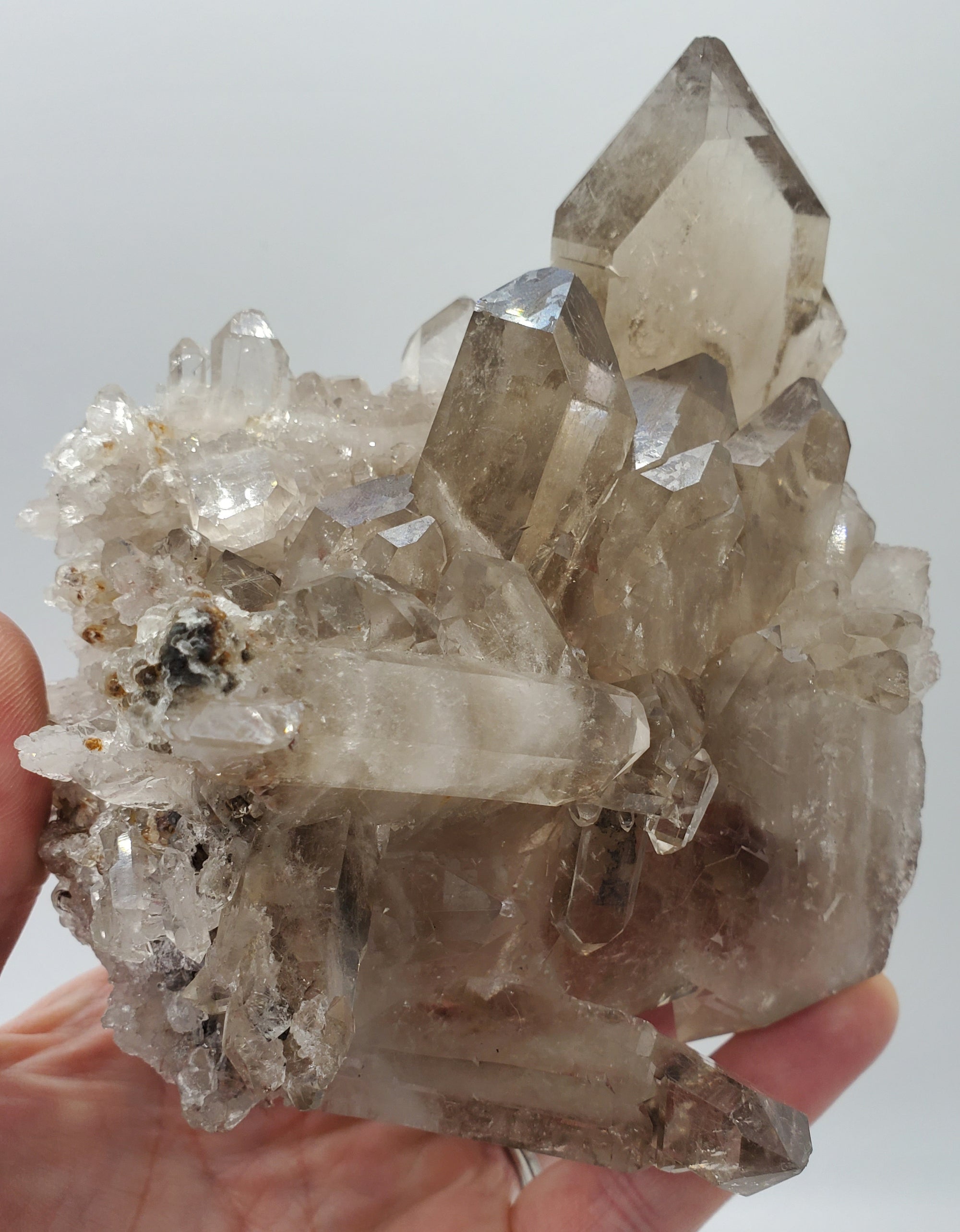 Tabby Smoky Quartz Cluster,  Brasil