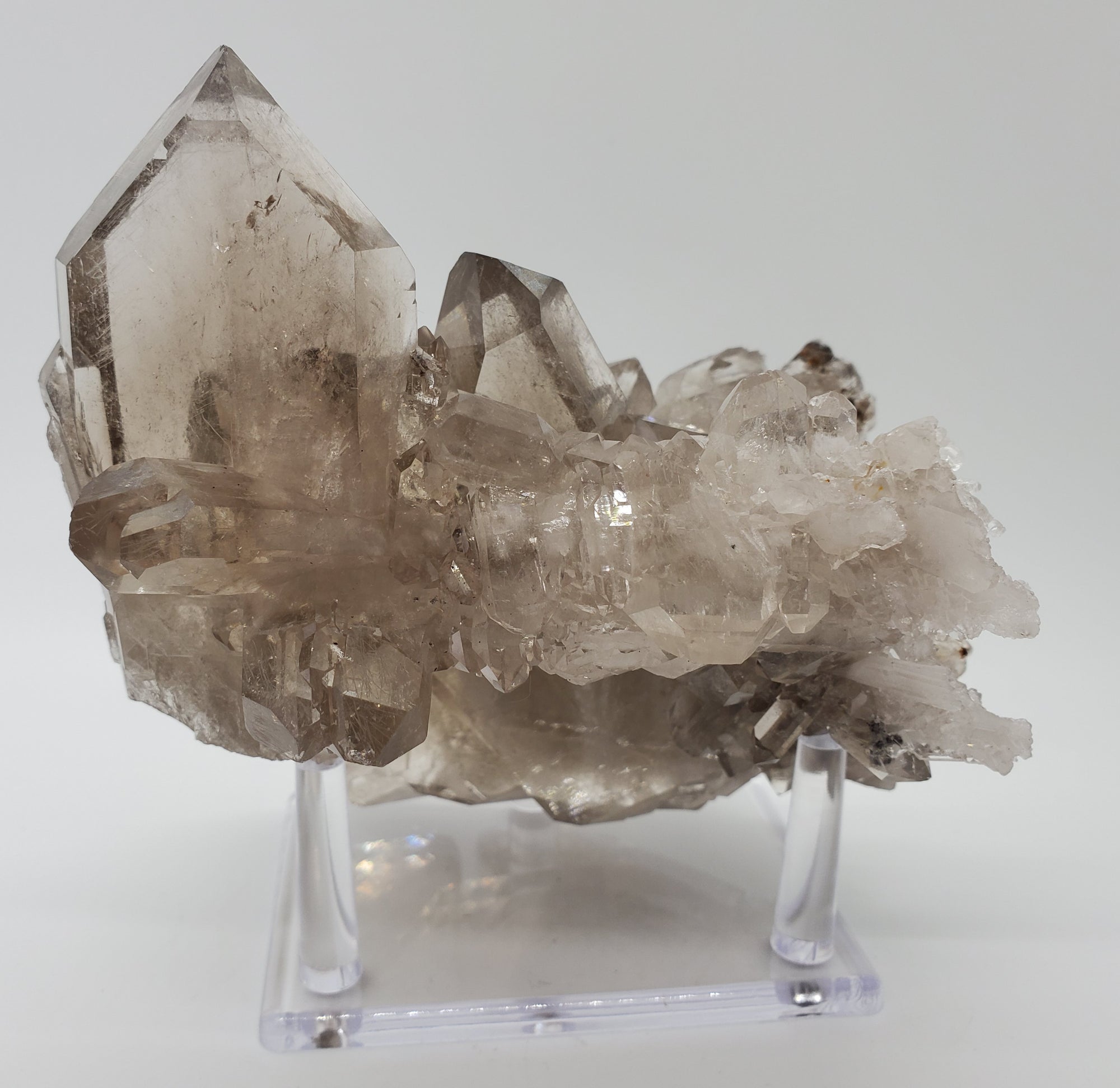 Tabby Smoky Quartz Cluster,  Brasil