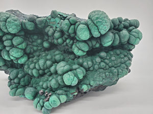 Botryoidal Malachite,  Congo
