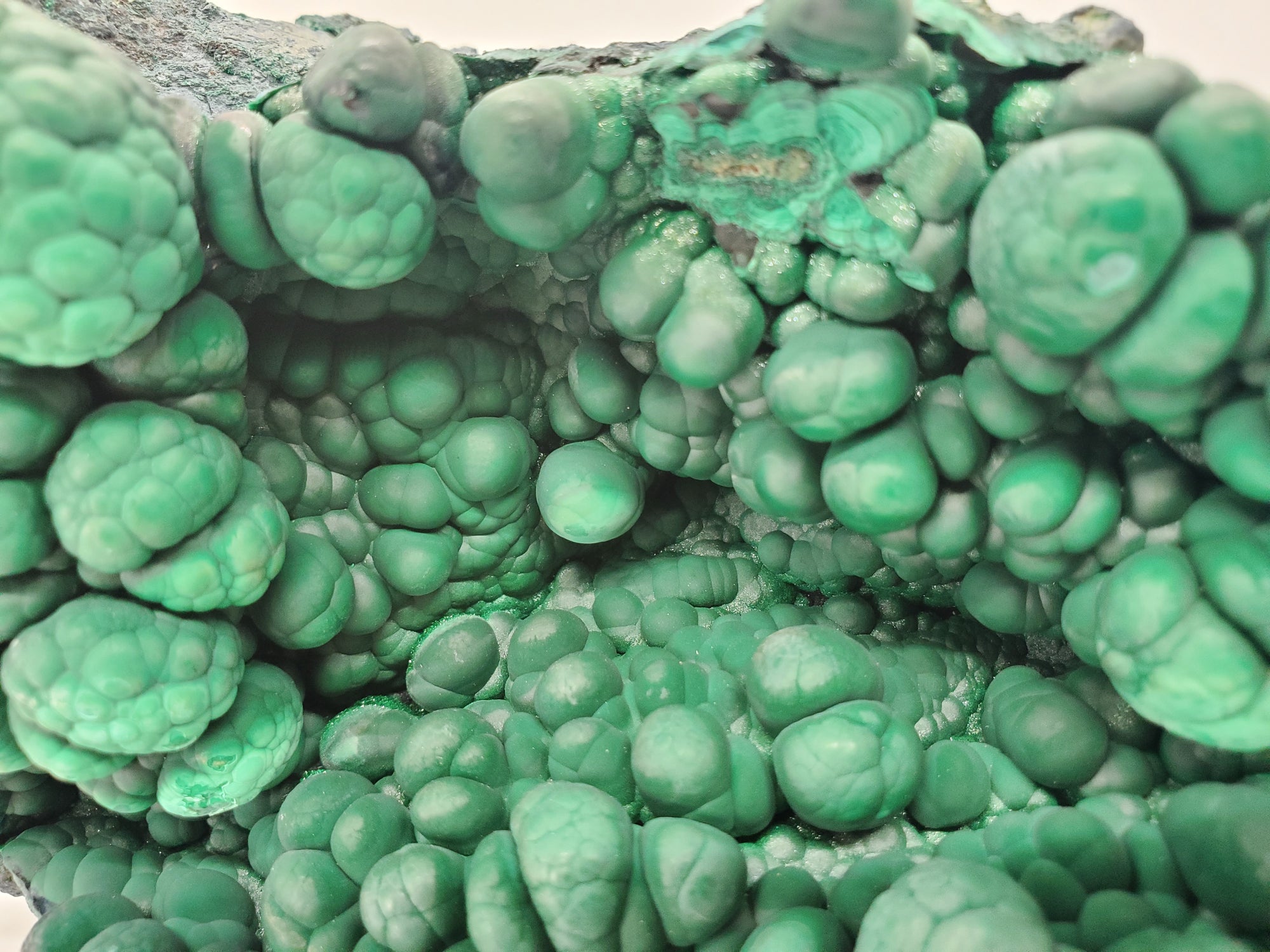 Botryoidal Malachite,  Congo