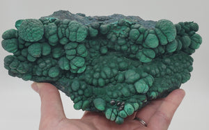 Botryoidal Malachite,  Congo
