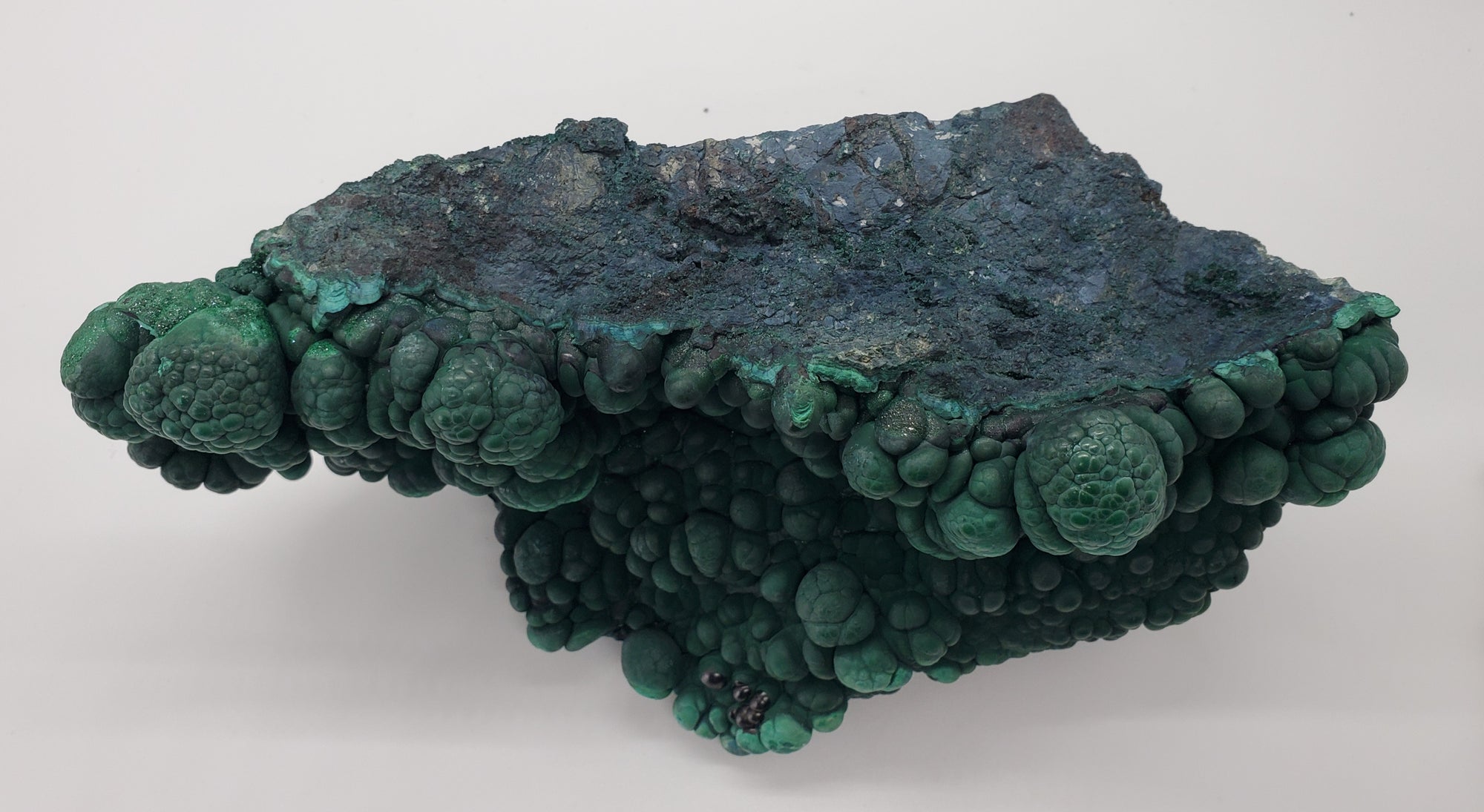 Botryoidal Malachite,  Congo
