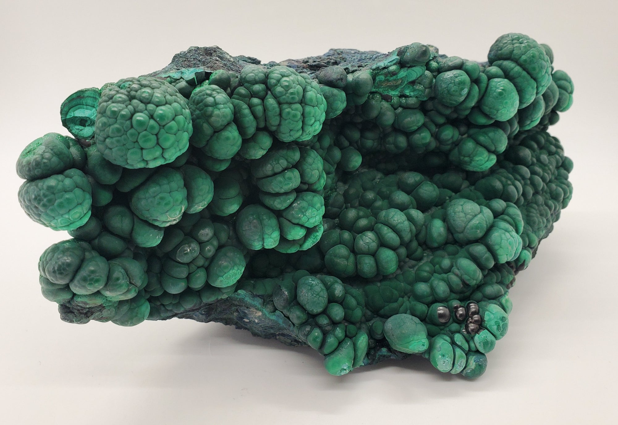 Botryoidal Malachite,  Congo