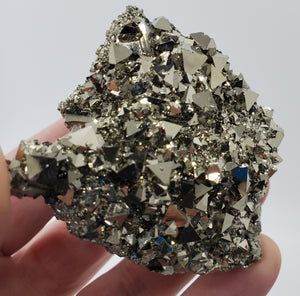 Octahedral Pyrite