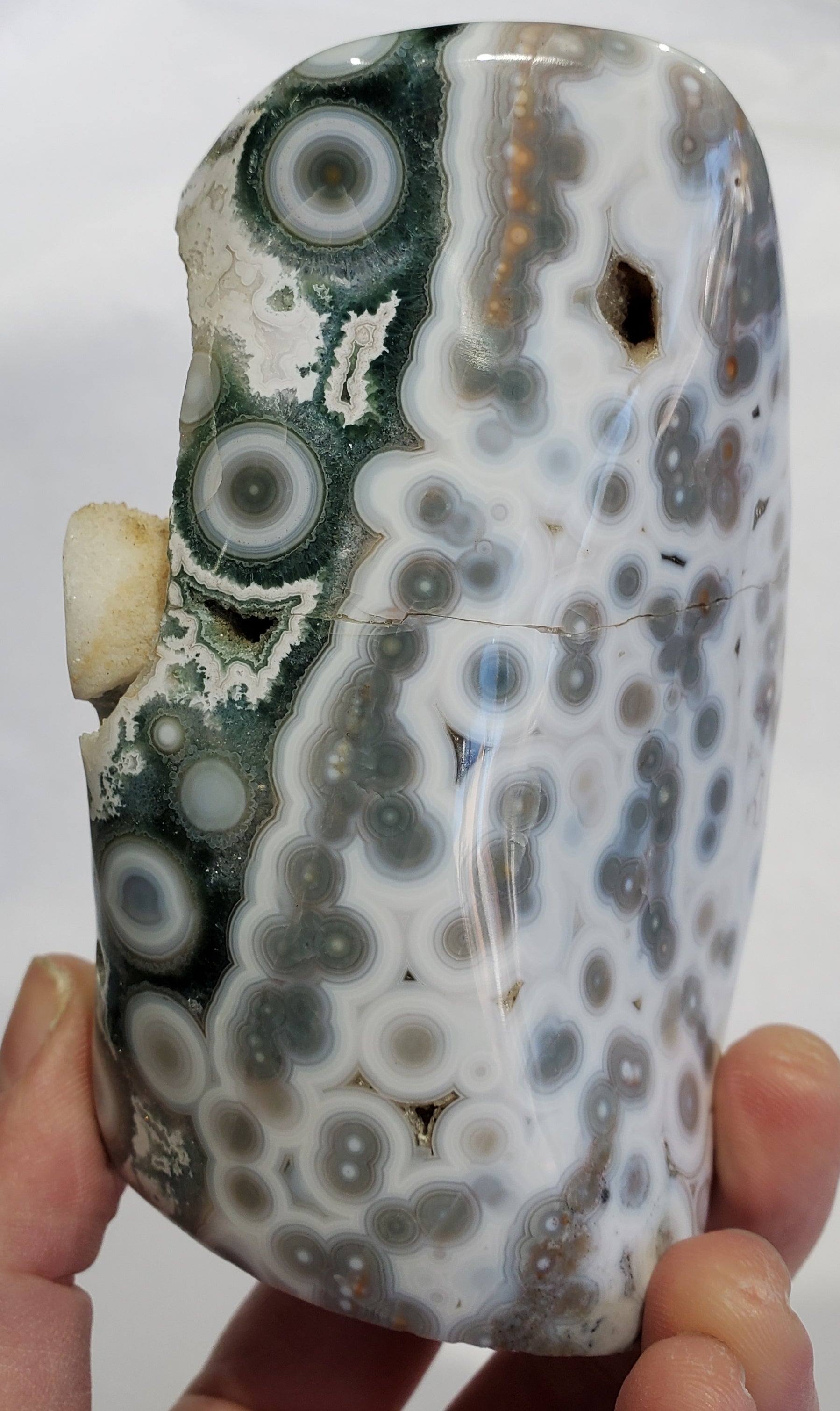 Ocean Jasper Free Form