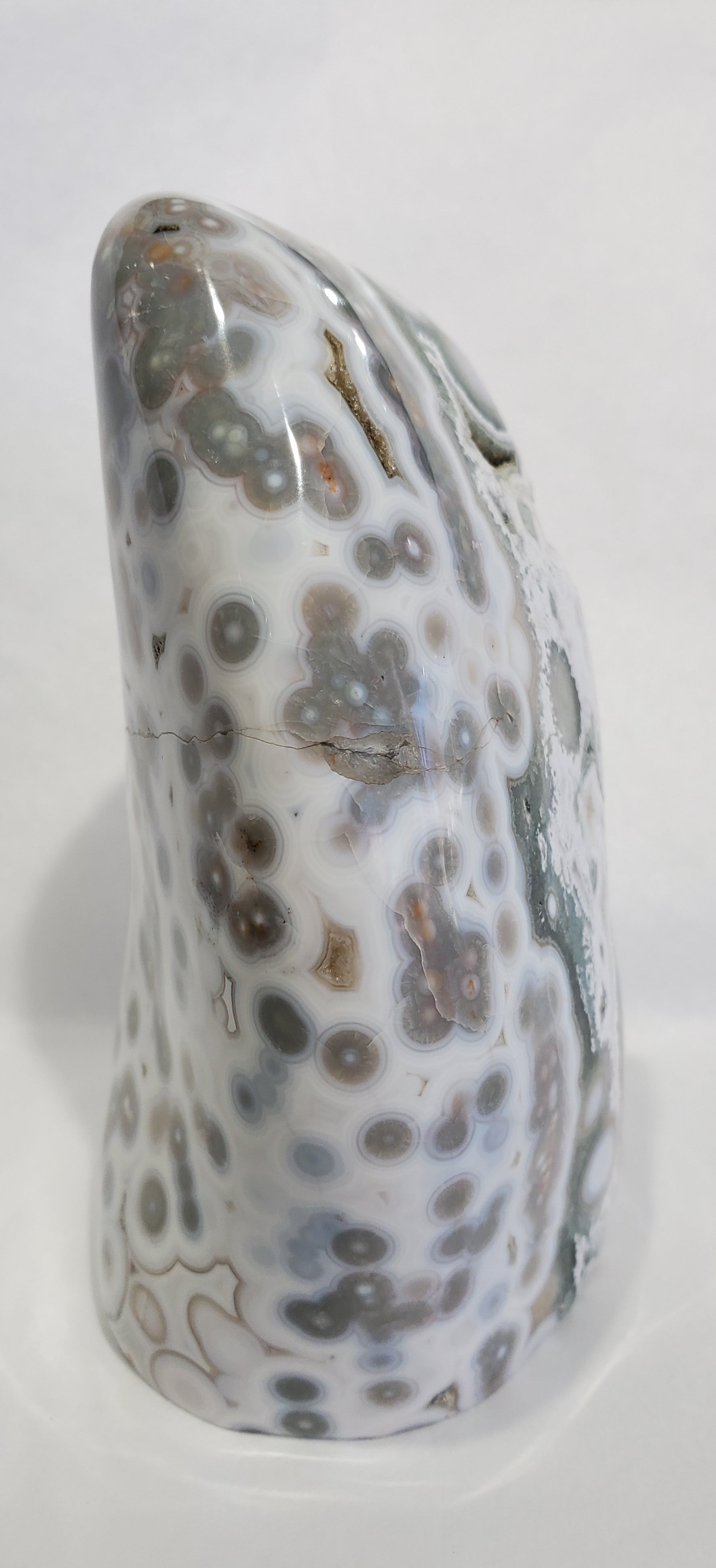 Ocean Jasper Free Form