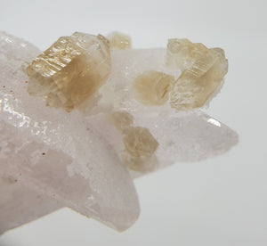 Danburite with Citrine, Mexico