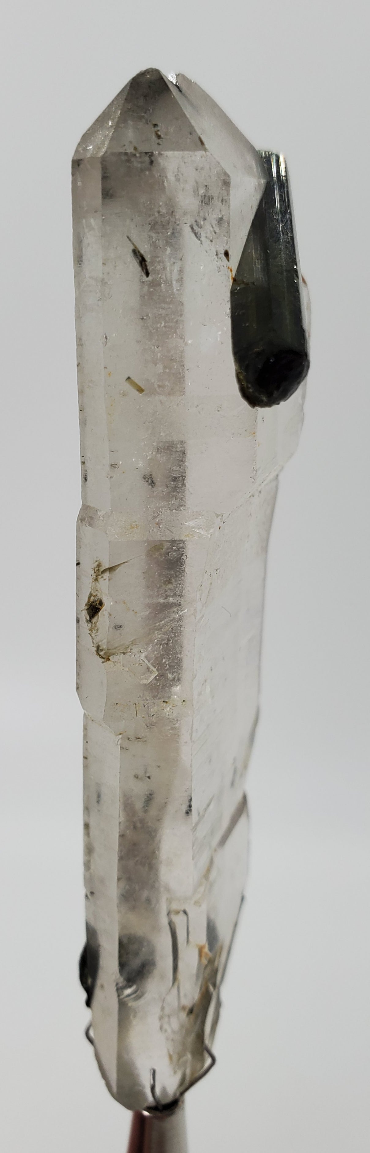 Double Terminated Tabby Quartz with Tourmaline
