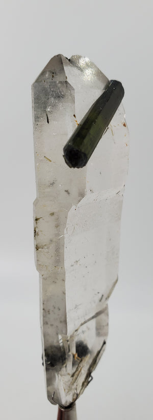 Double Terminated Tabby Quartz with Tourmaline