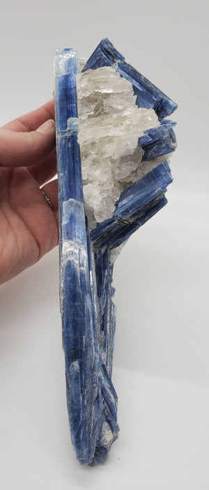 Kyanite and Quartz, Brasil