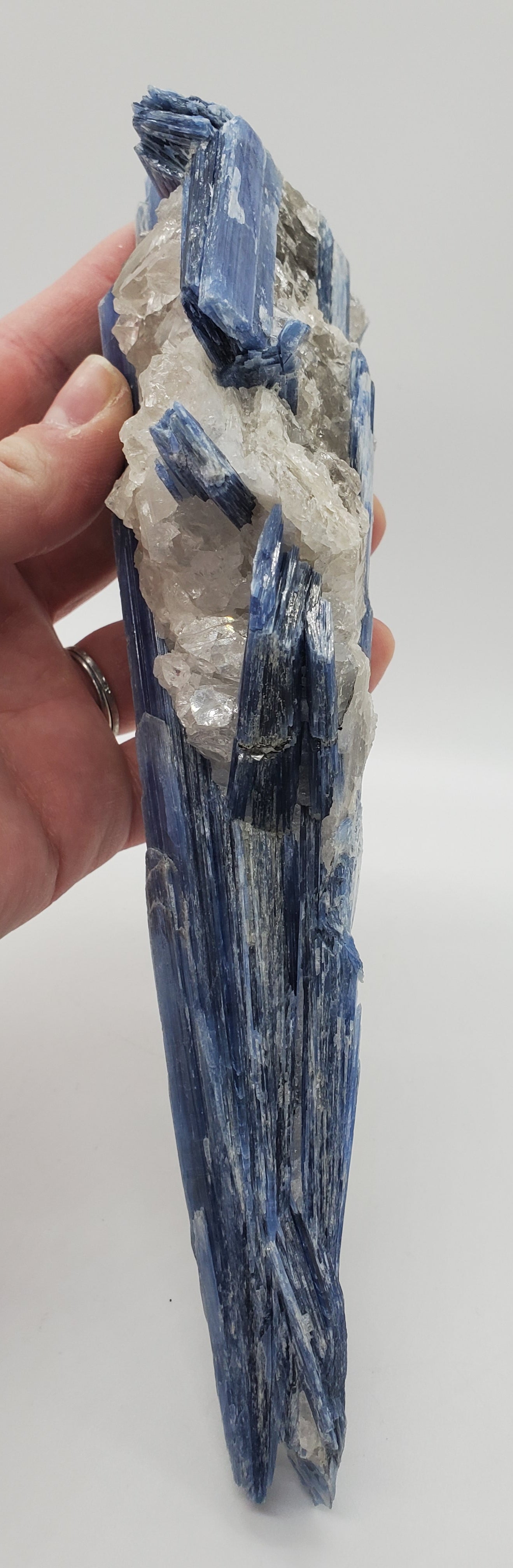 Kyanite and Quartz, Brasil