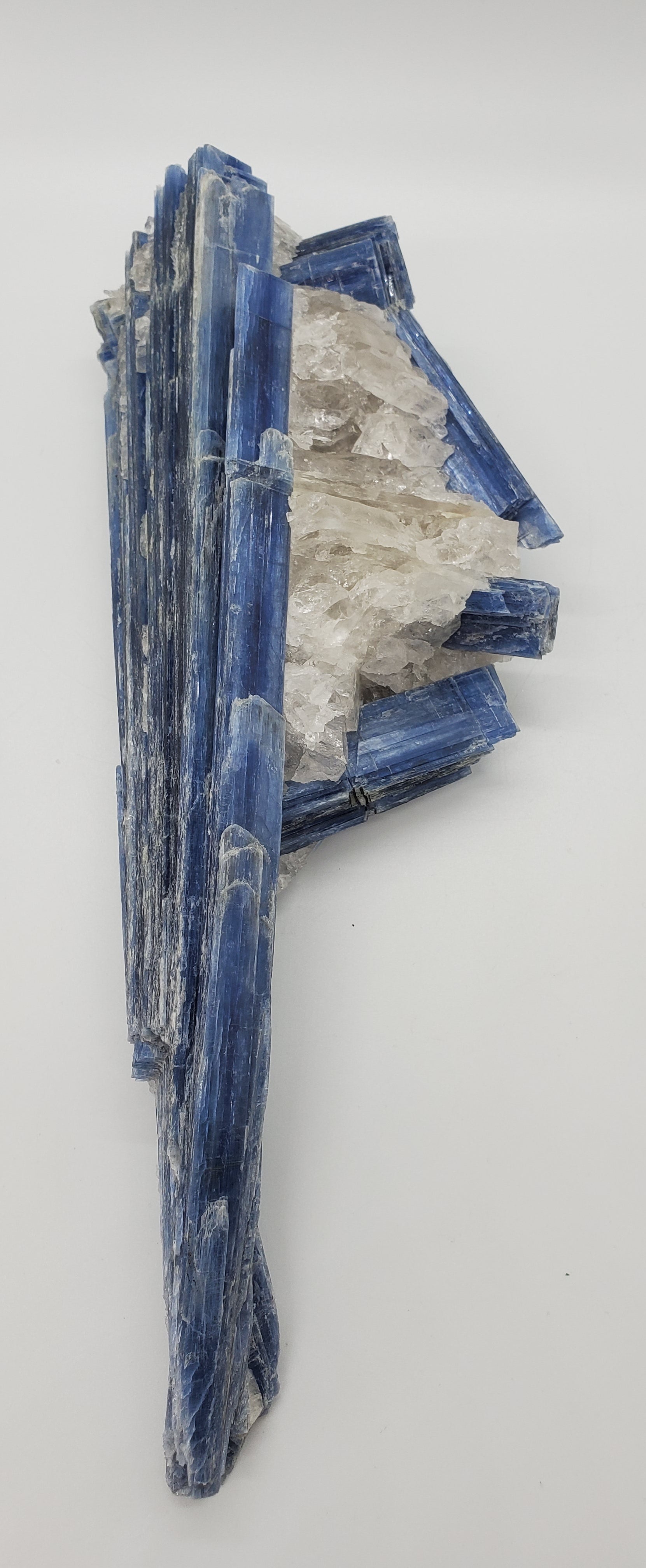 Kyanite and Quartz, Brasil