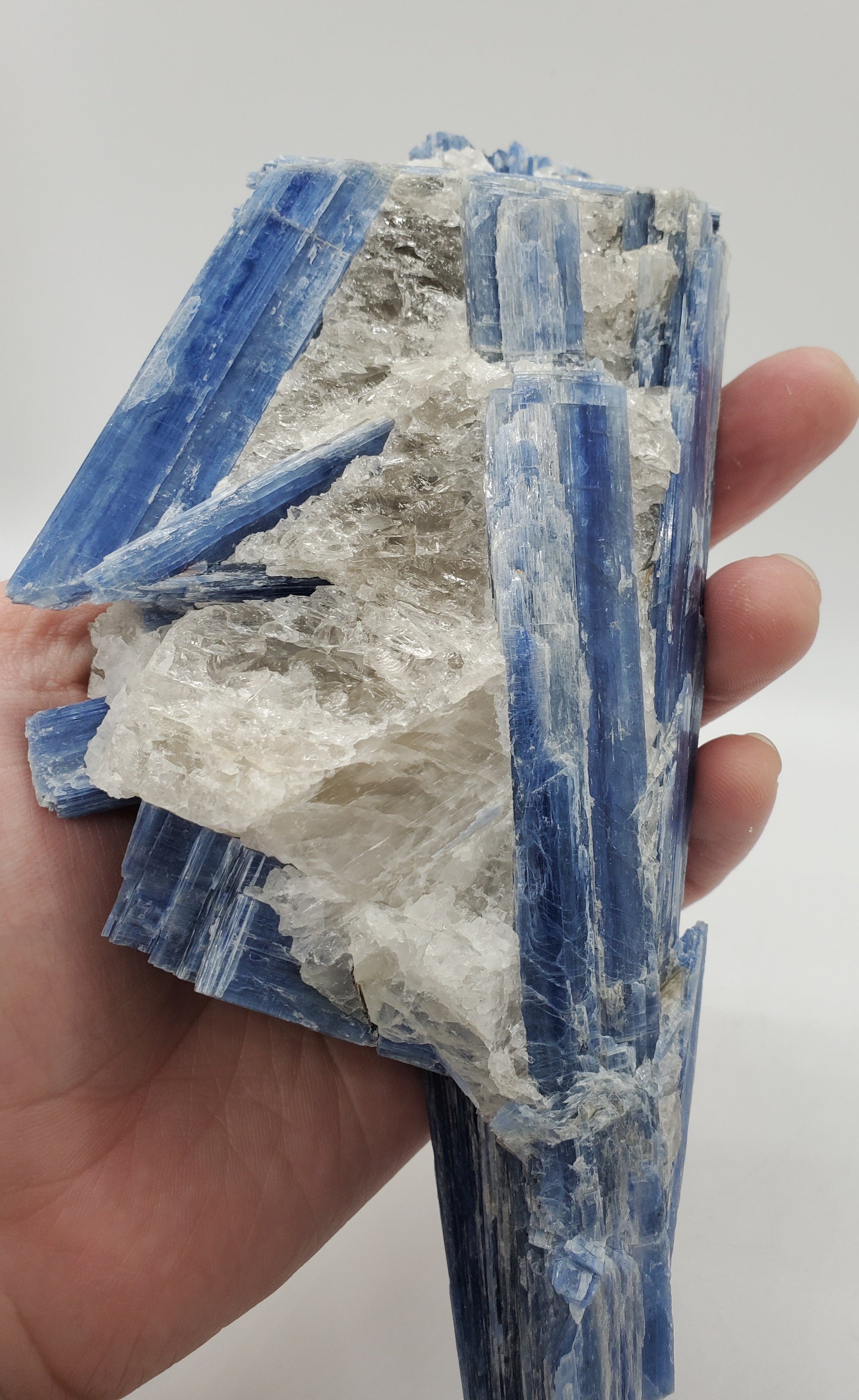 Kyanite and Quartz, Brasil