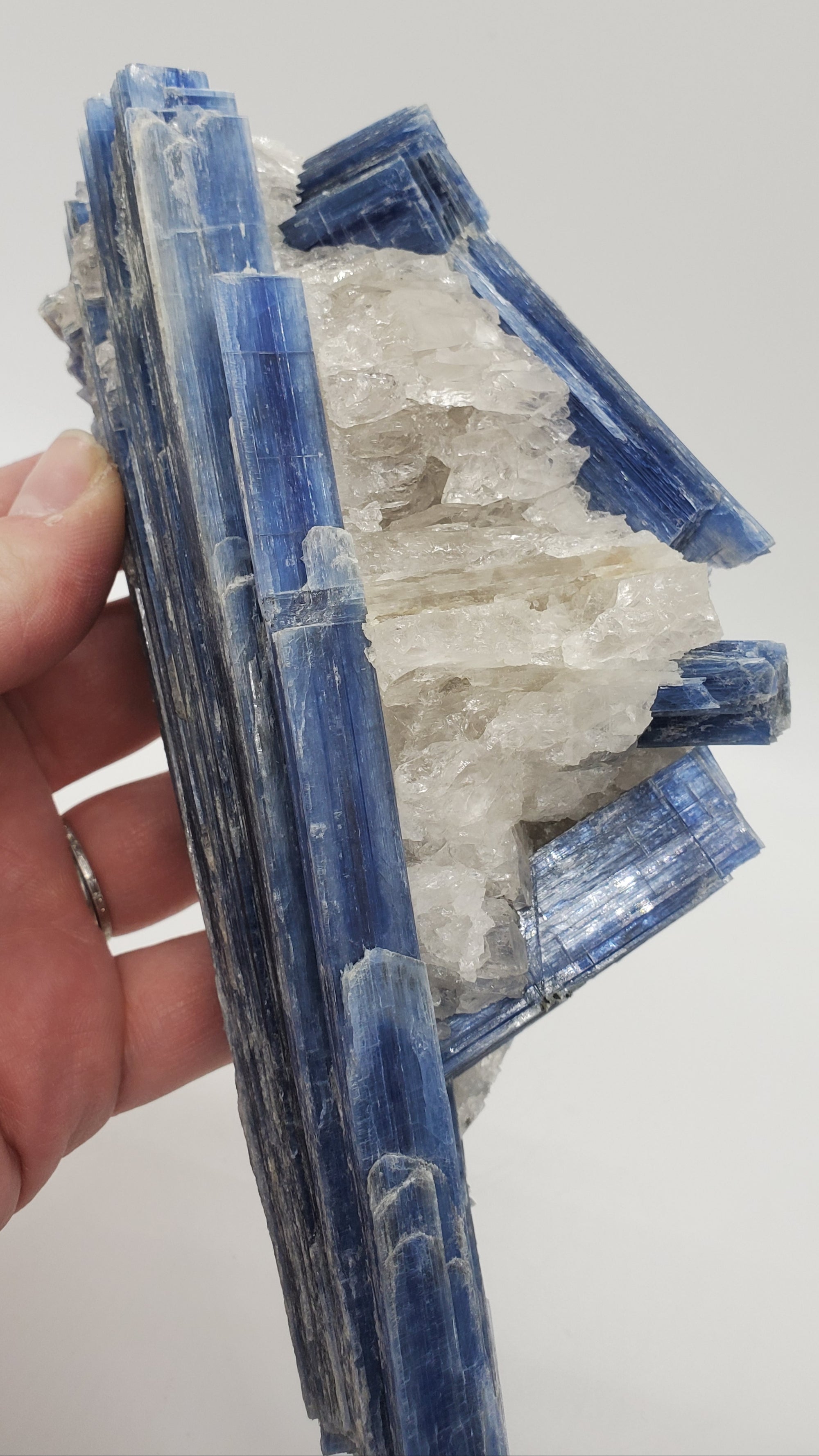 Kyanite and Quartz, Brasil