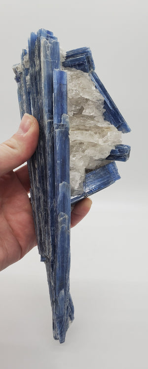 Kyanite and Quartz, Brasil